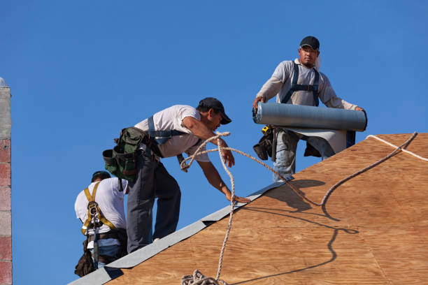 Best Gutter Installation and Roofing  in Montgomery, TX